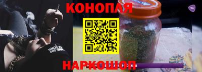 гашик Тара